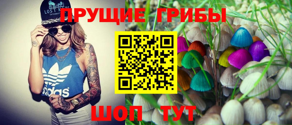Галлюциногенные грибы ЛСД  Вход с VPN  где купить наркотик  Псилоцибиновые грибы Psilocybine cubensis  Оренбург 